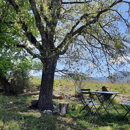 Gite Des Millets En Baronnies Rosans Exteriör bild