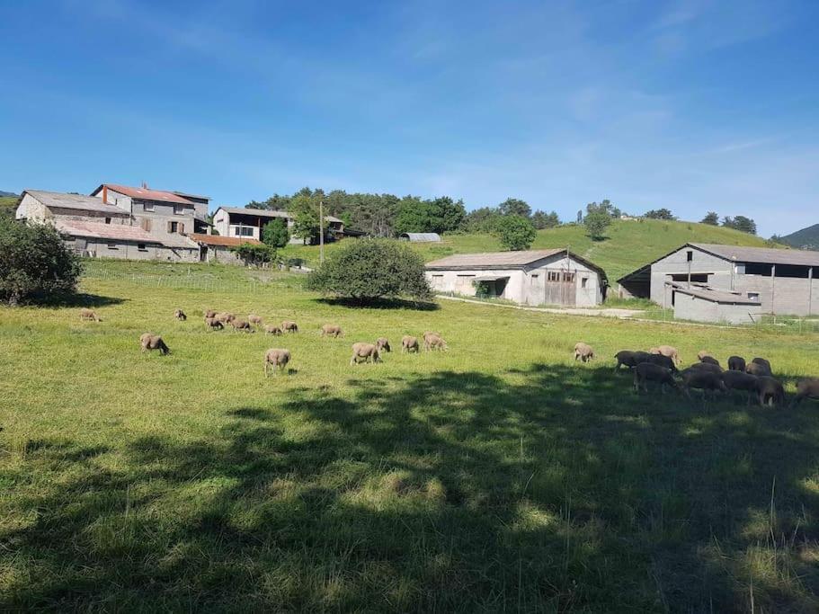 Gite Des Millets En Baronnies Rosans Exteriör bild